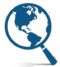 LAI Global Investigations